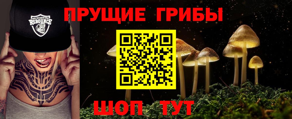 Псилоцибиновые грибы прущие грибы  Галлюциногенные грибы ЛСД  Вход с VPN  цены наркотик  Великие Луки 